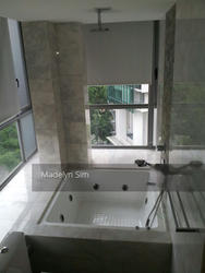 Angullia Park Residences @ Orchard (D10), Apartment #125411062